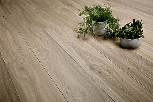 Audacity 12mm Laminate Summer Hill Oak Built-in Underlay