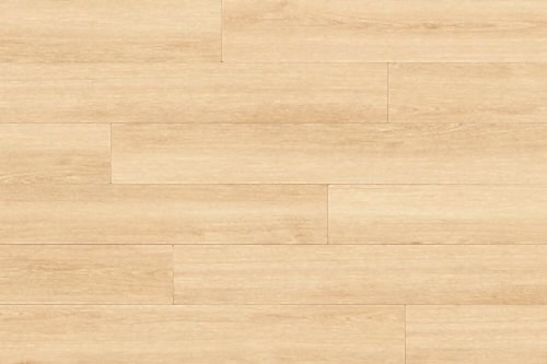 Series Woods 8mm Laminate Flooring Lily Oak