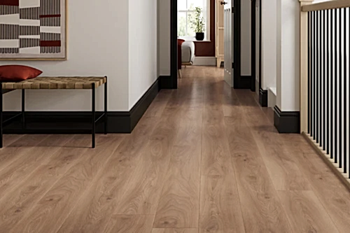 Series Woods 10mm Laminate Flooring Golden Oak