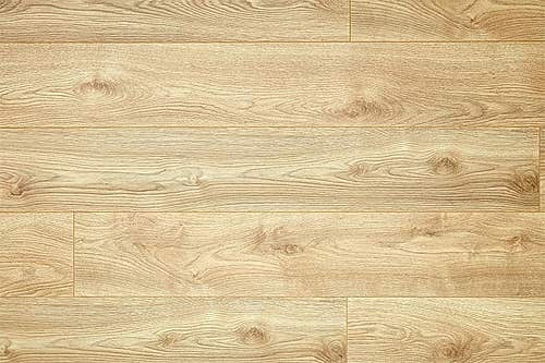 Series woods 12mm Laminate Flooring Makro nature Oak